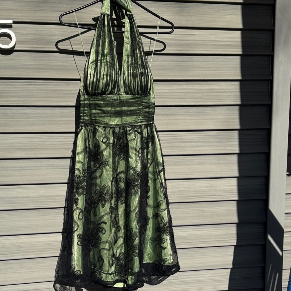 Adrianna Papell Green and Black Backless Dress